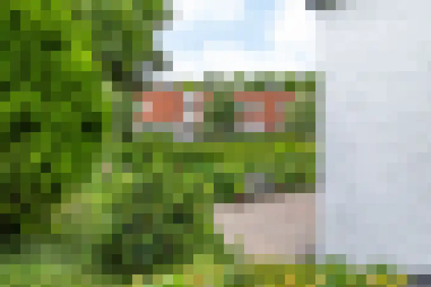 Prins Bernhardstraat 12 Gulpen thumbnail 23
