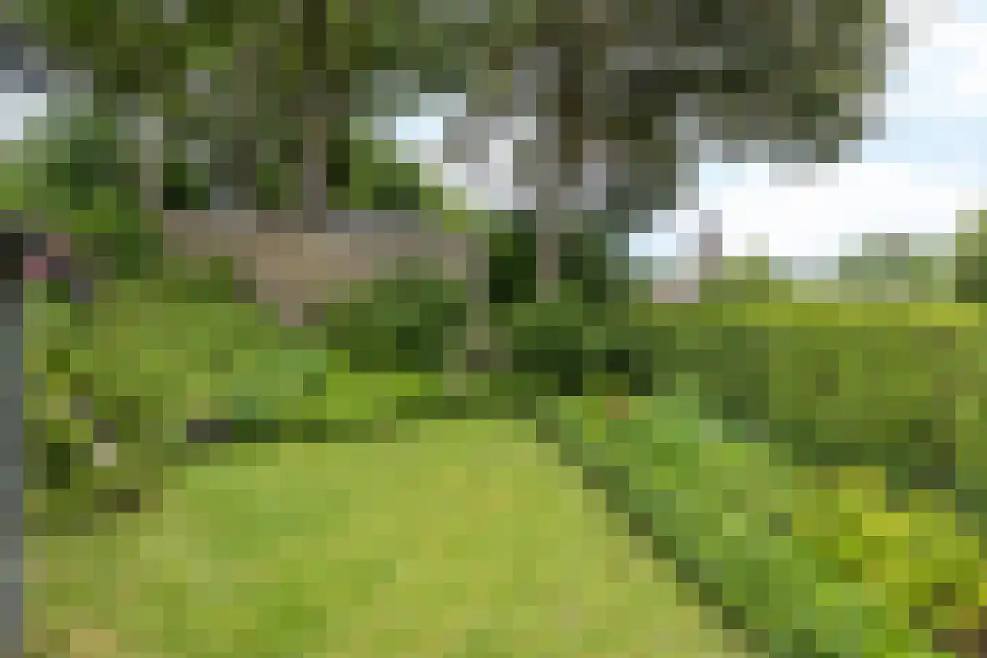 Prins Bernhardstraat 12 Gulpen thumbnail 26