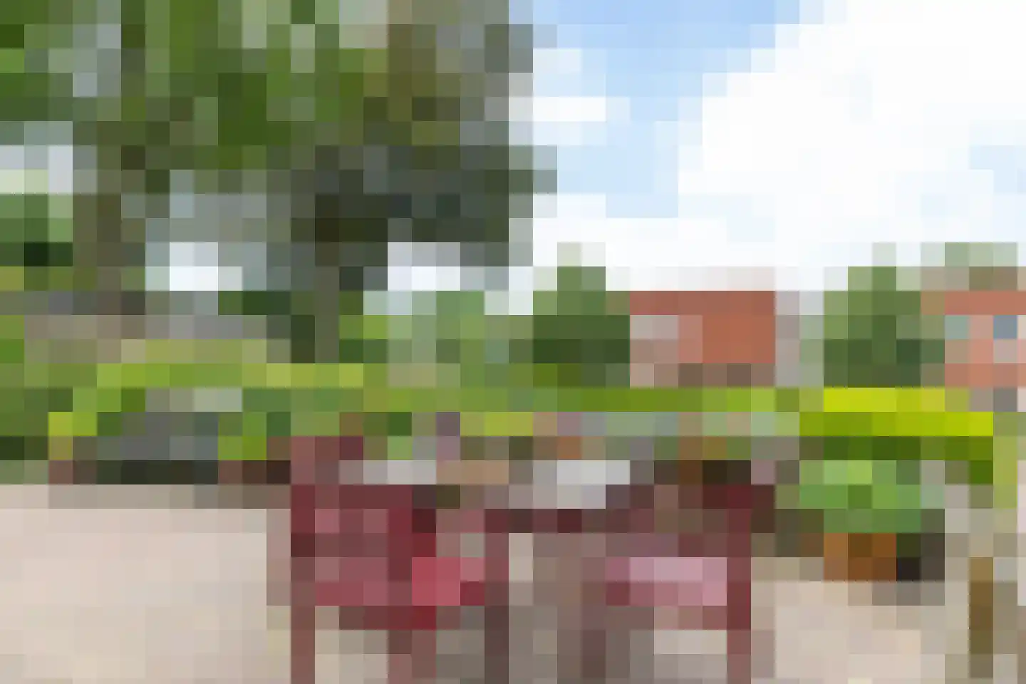 Prins Bernhardstraat 12 Gulpen thumbnail 28