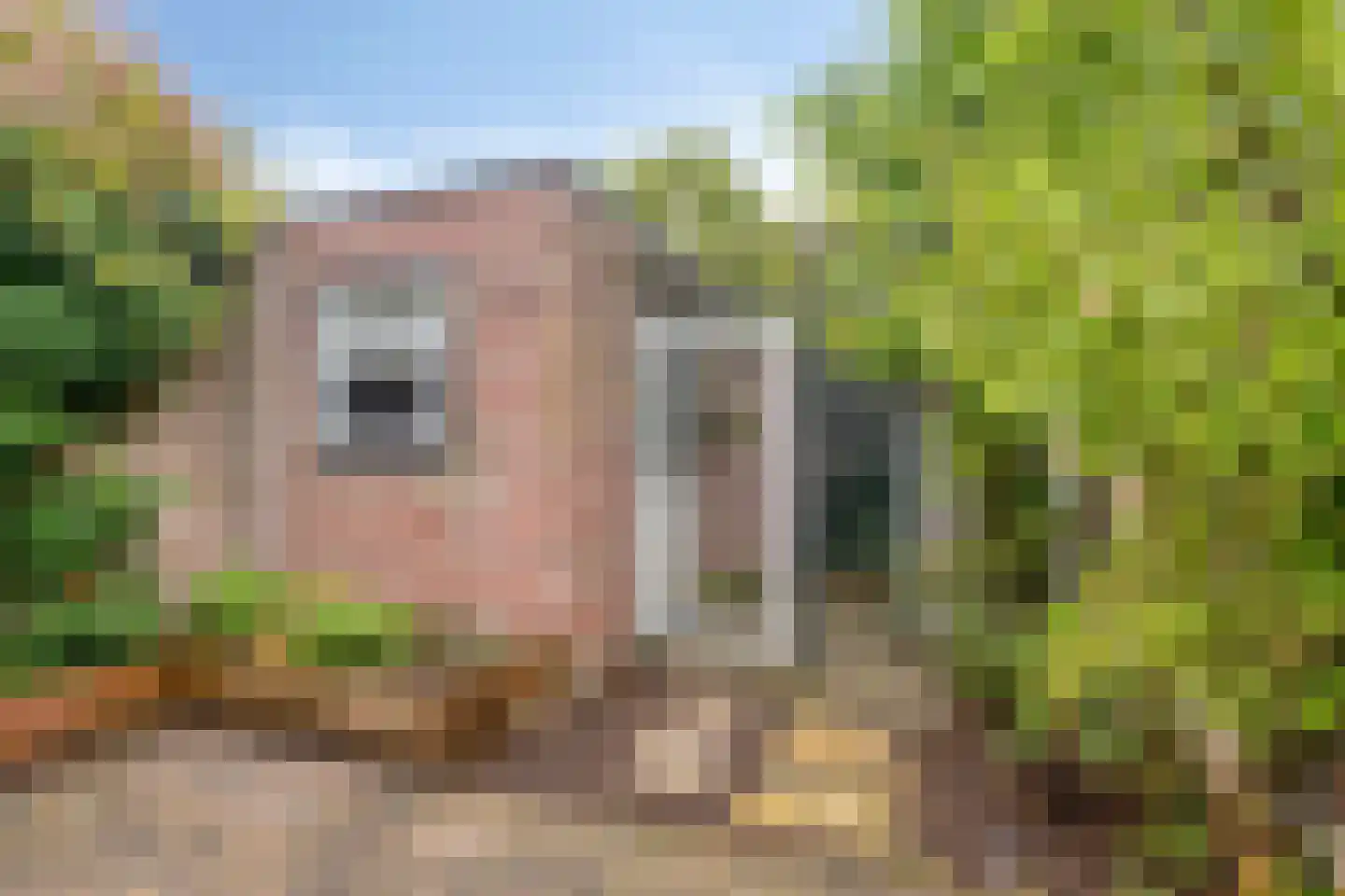 Prins Bernhardstraat 12 Hillegom thumbnail 14