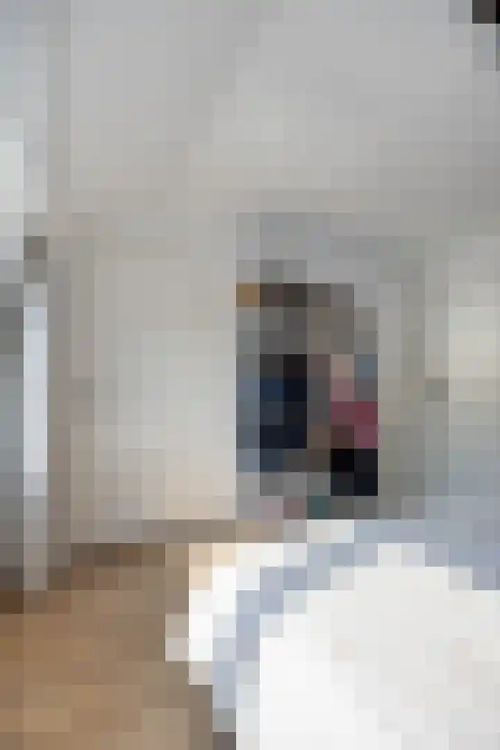 Prins Bernhardstraat 12 Kampen thumbnail 24