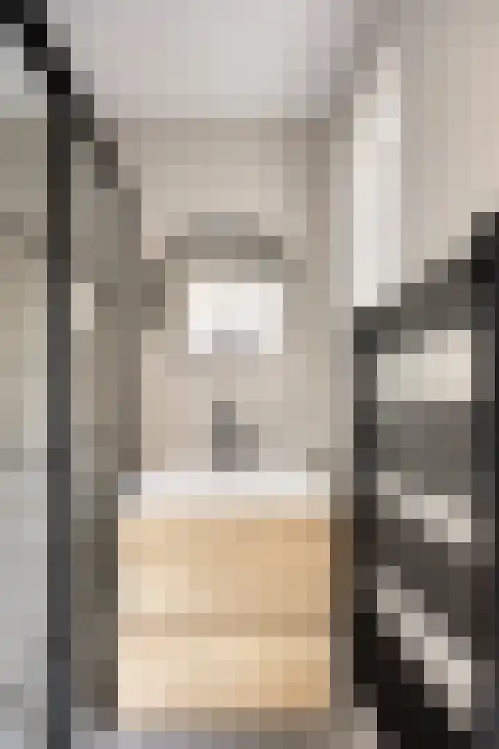 Prins Bernhardstraat 12 Kampen thumbnail 4
