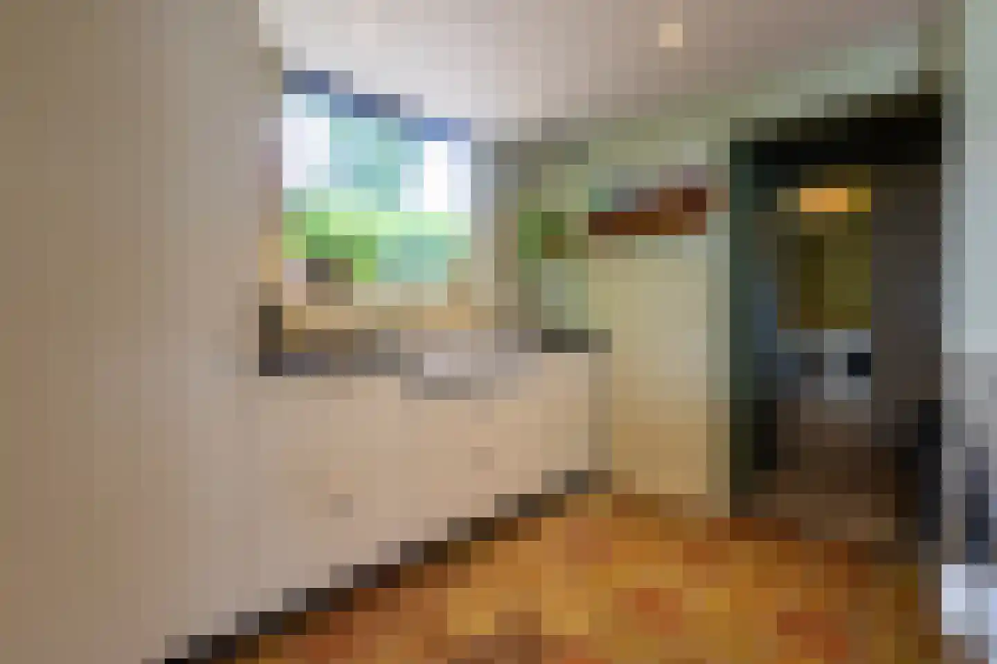 Prins Bernhardstraat 12 Putte thumbnail 12