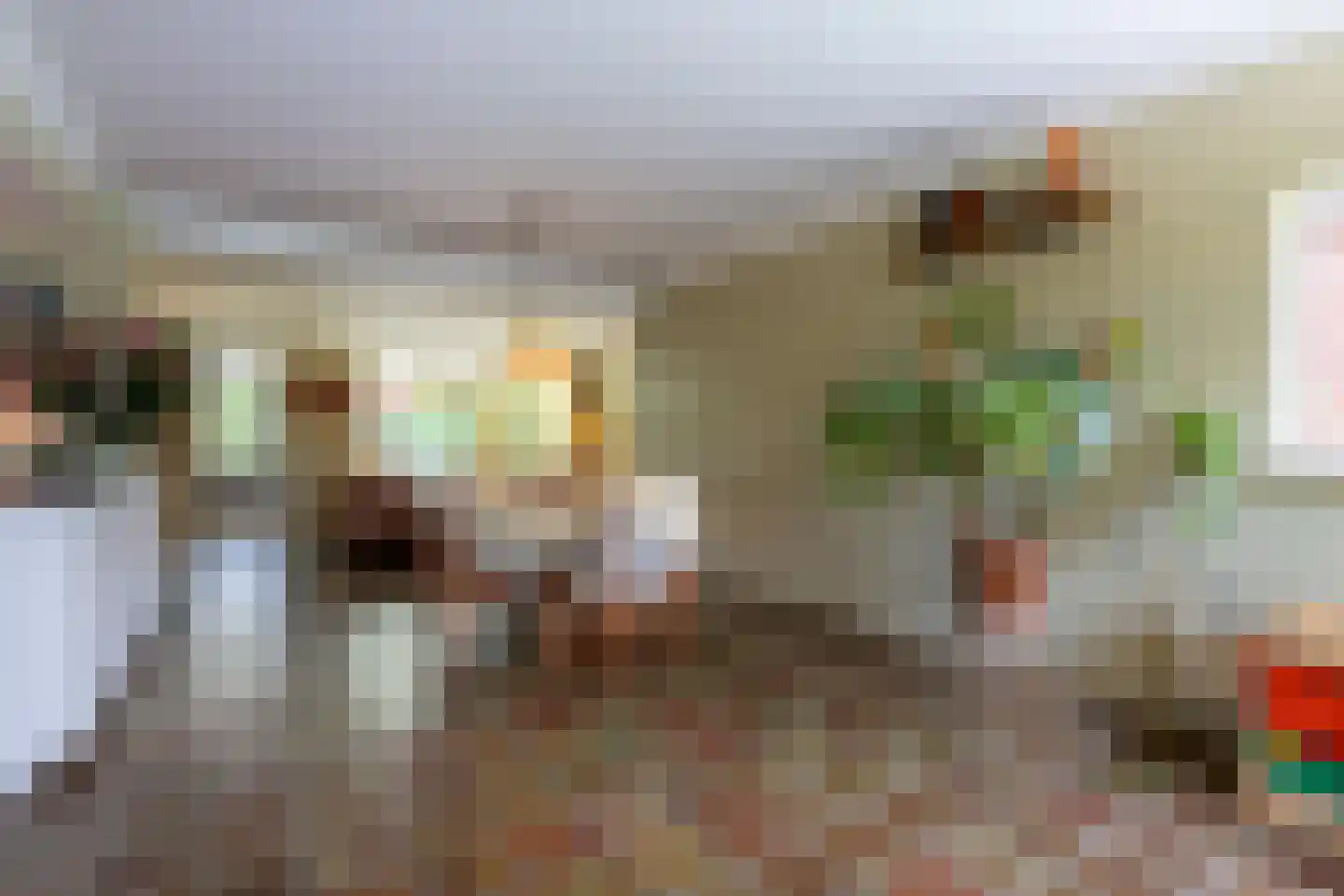 Prins Bernhardstraat 12 Putte thumbnail 13