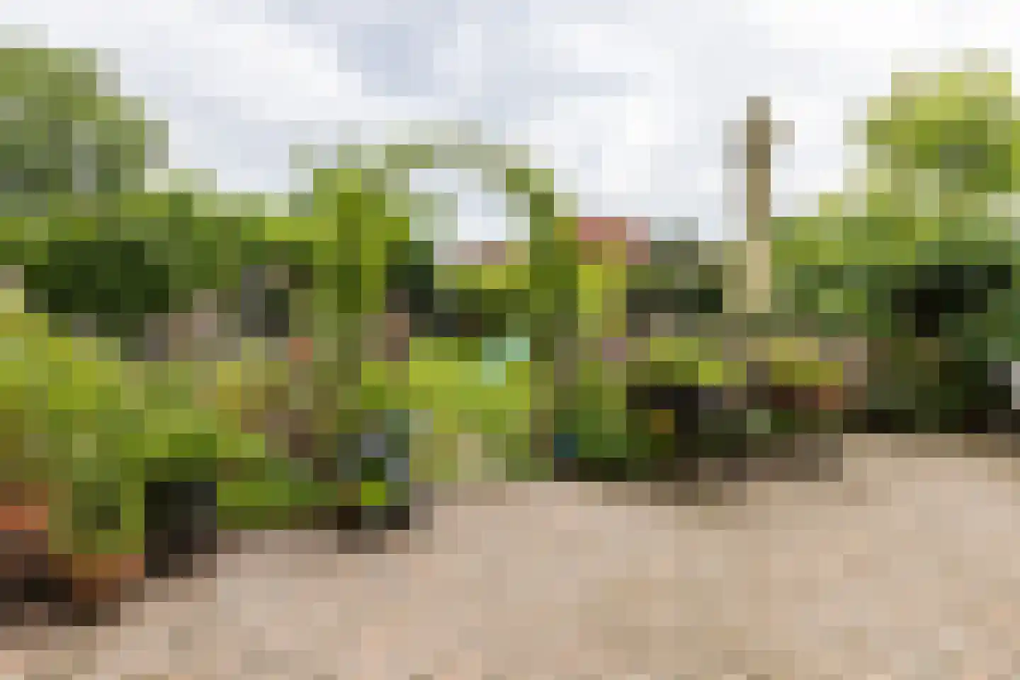 Prins Bernhardstraat 12 Putte thumbnail 4