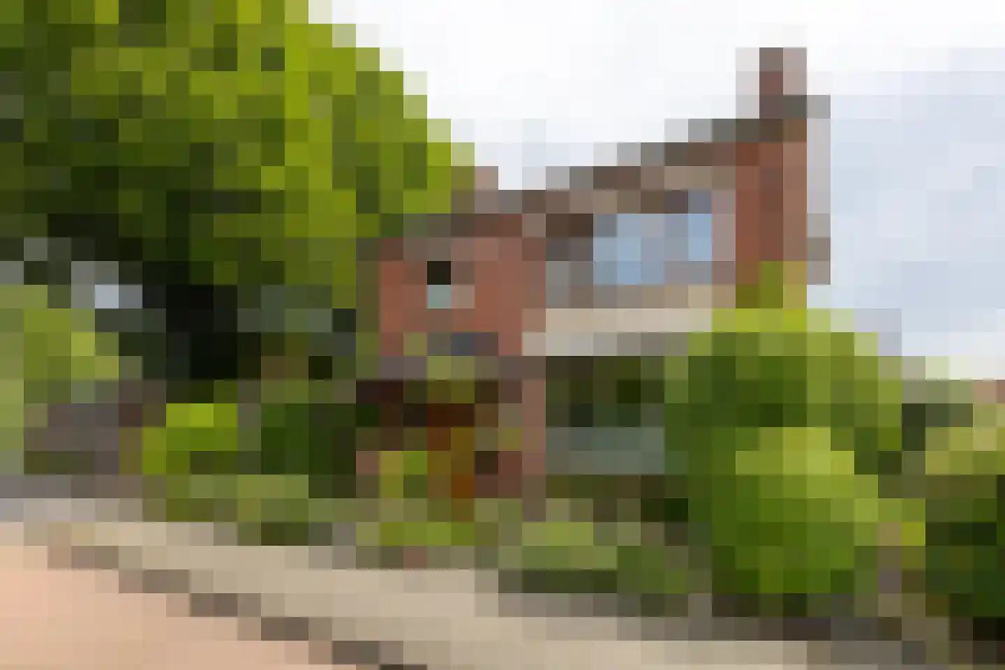 Prins Bernhardstraat 12 Putte thumbnail 47