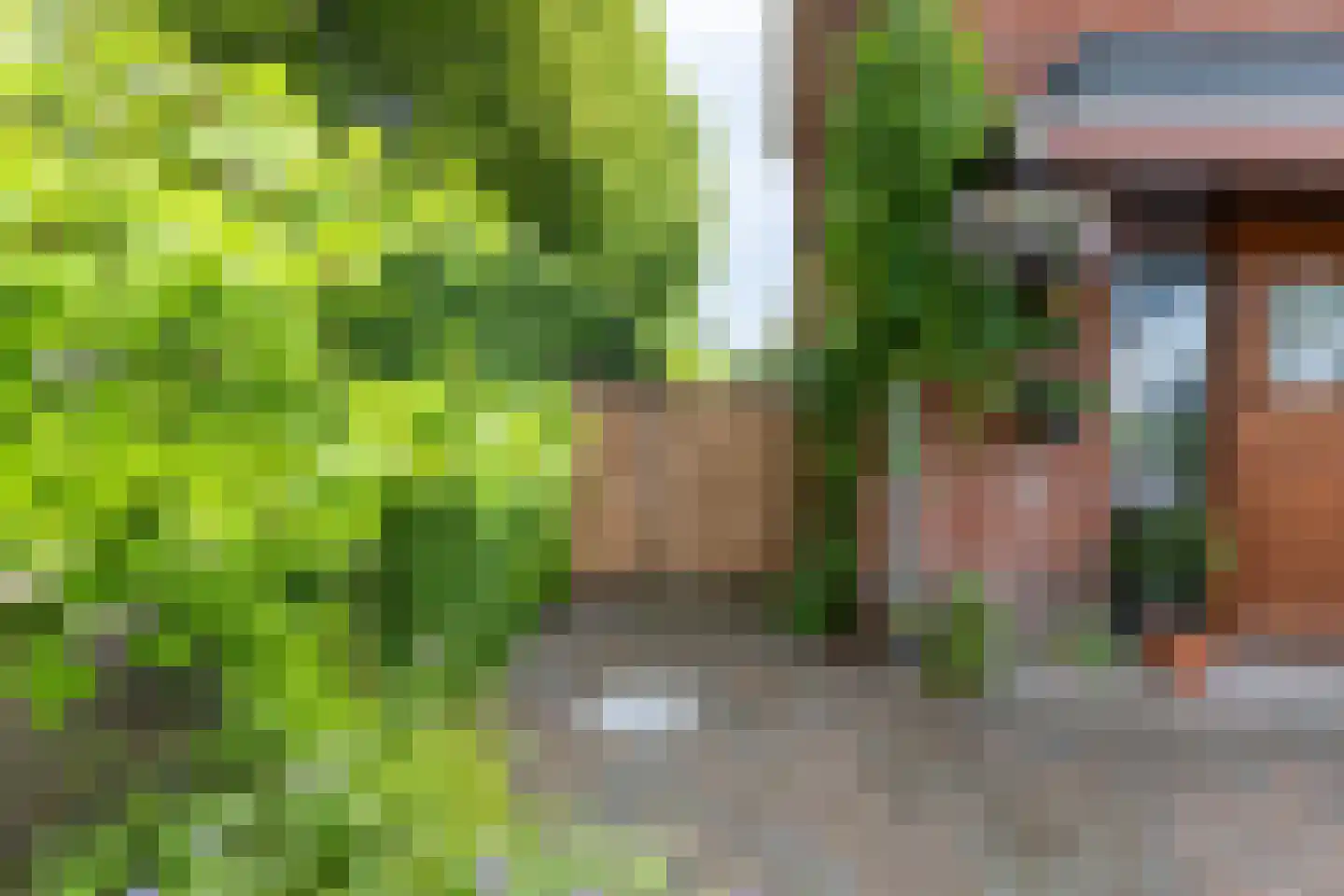 Prins Bernhardstraat 12 Putte thumbnail 48