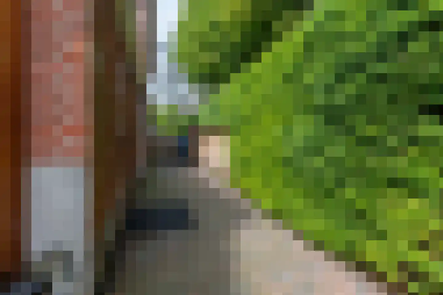 Prins Bernhardstraat 12 Putte thumbnail 49