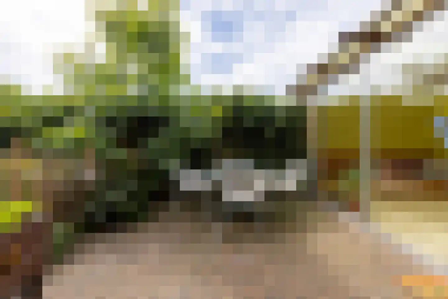 Prins Bernhardstraat 12 Putte thumbnail 51