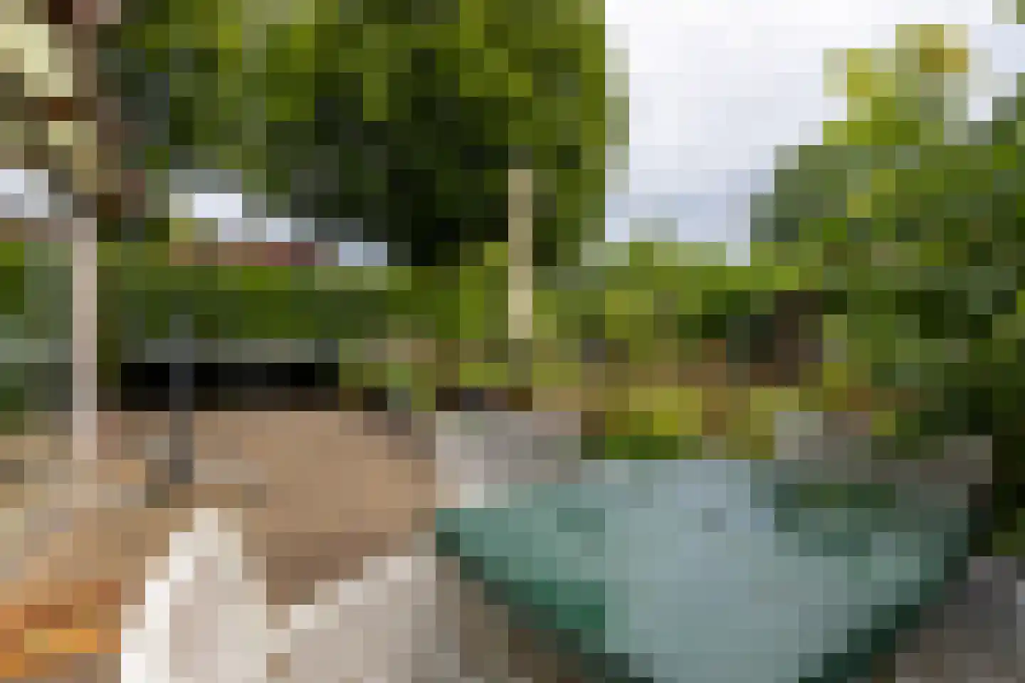 Prins Bernhardstraat 12 Putte thumbnail 52