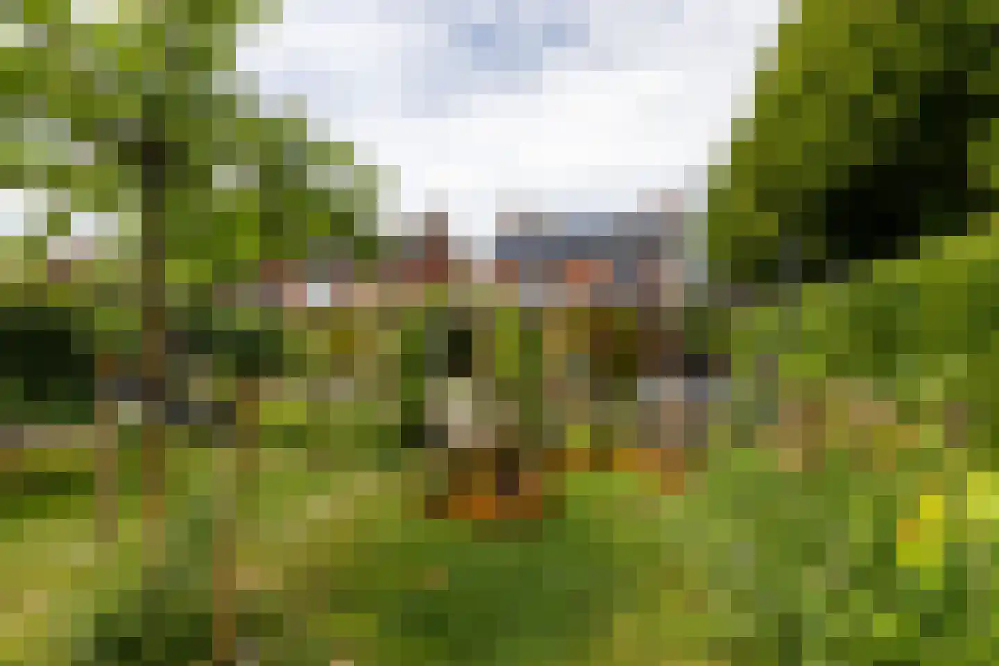 Prins Bernhardstraat 12 Putte thumbnail 55