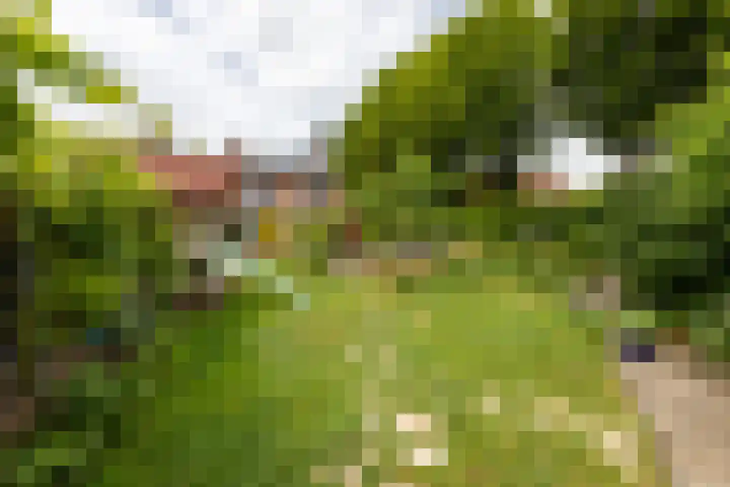 Prins Bernhardstraat 12 Putte thumbnail 56