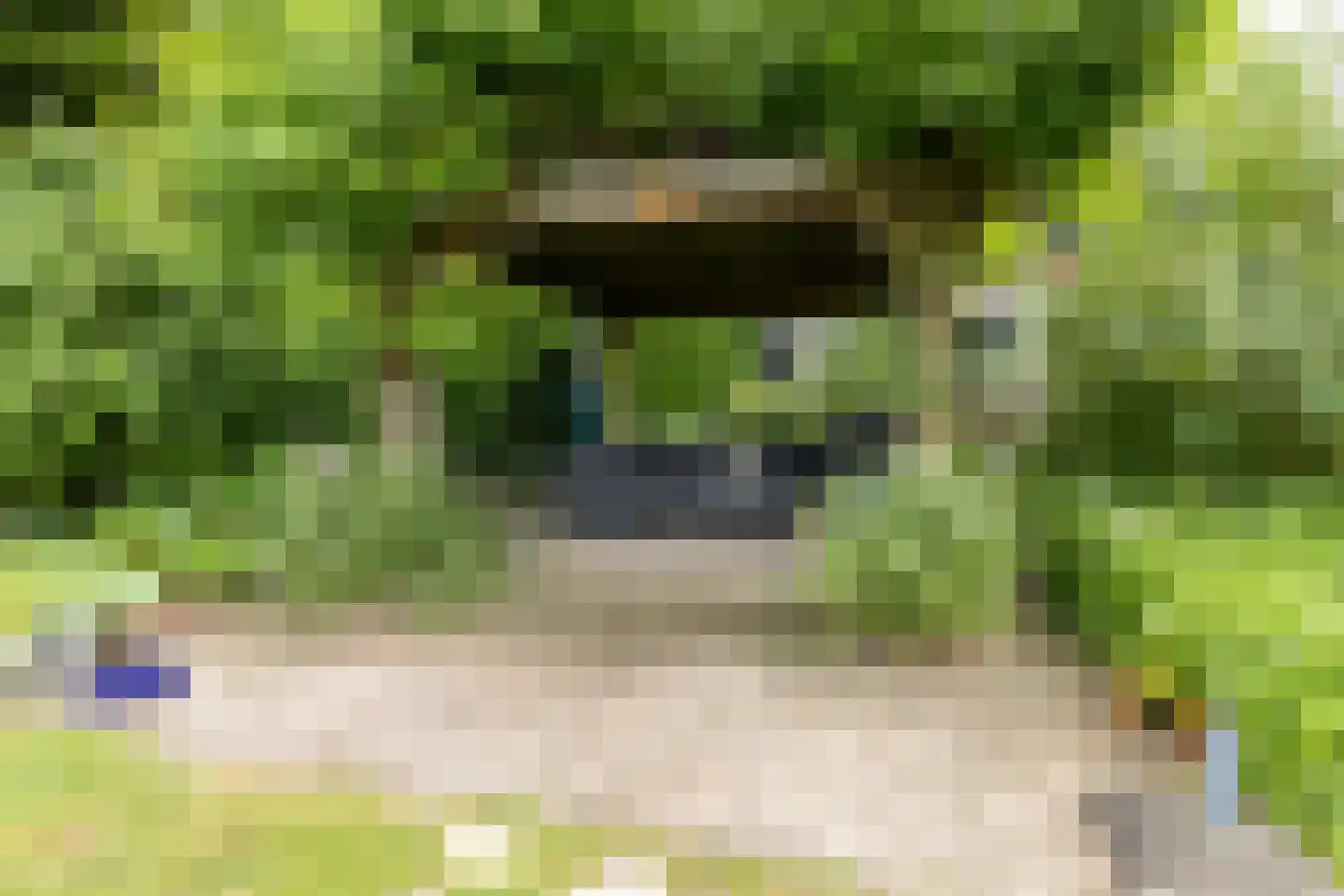 Prins Bernhardstraat 12 Putte thumbnail 57