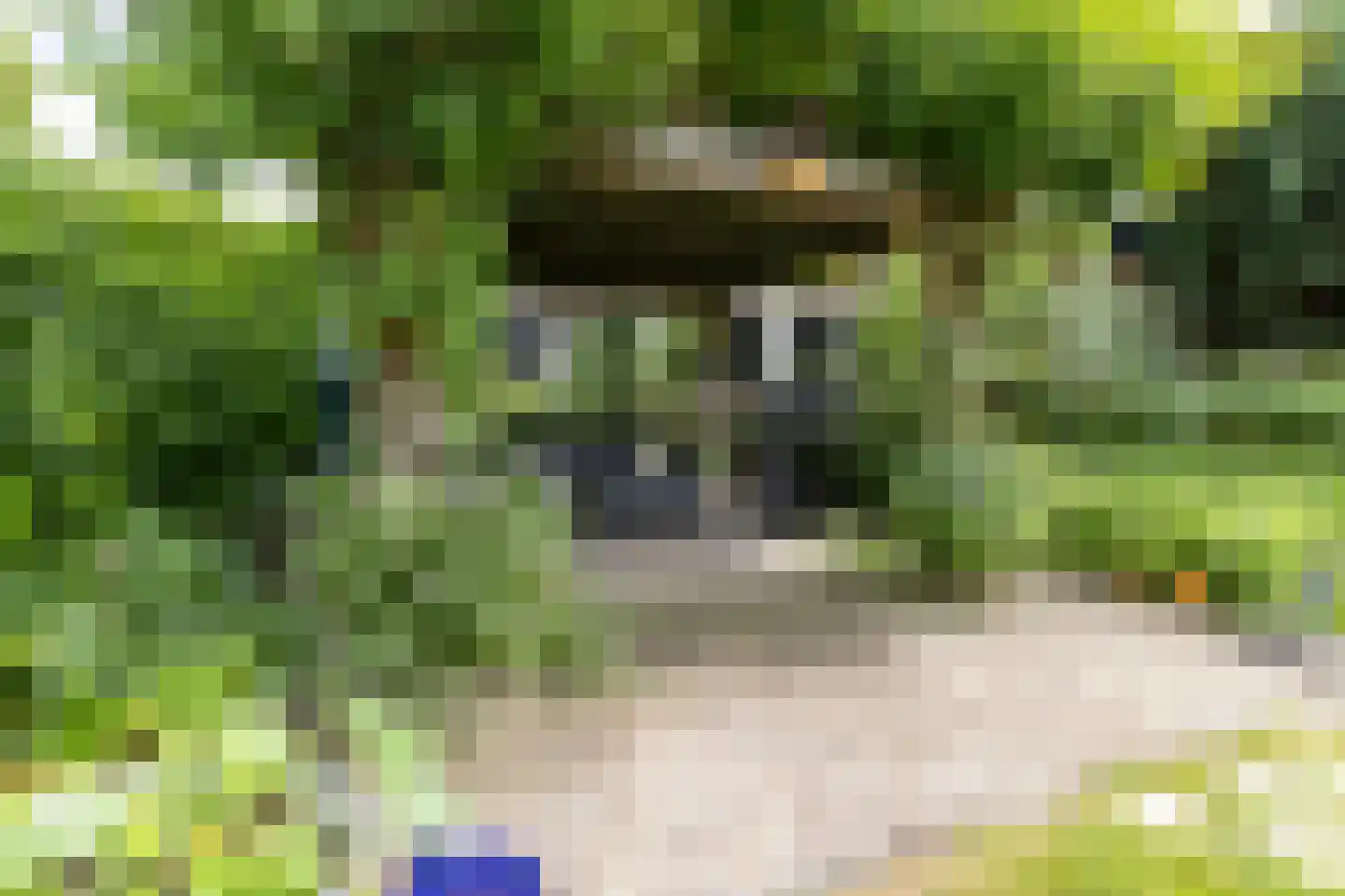 Prins Bernhardstraat 12 Putte thumbnail 58