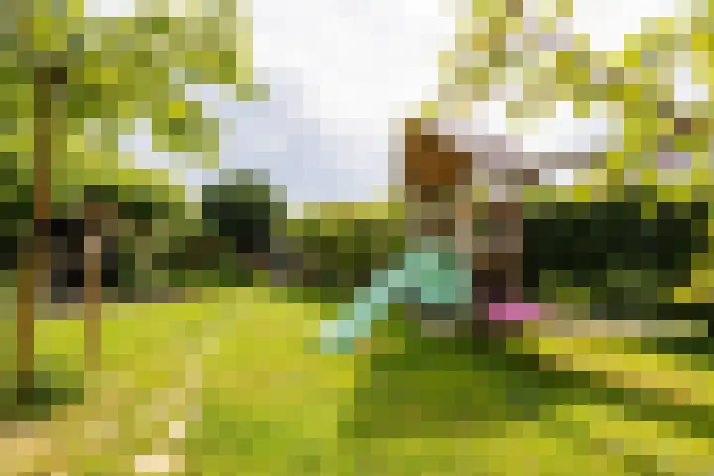 Prins Bernhardstraat 12 Putte thumbnail 60