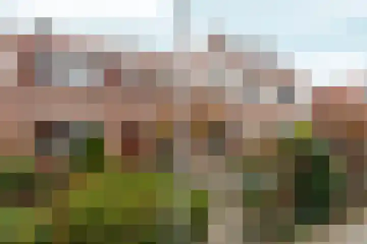 Prins Bernhardstraat 12 Wateringen thumbnail 6
