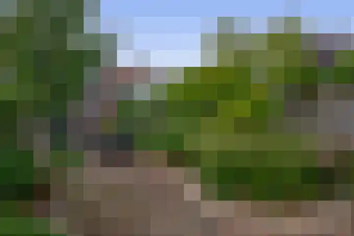 Prins Bernhardstraat 121 Oud-Beijerland thumbnail 34