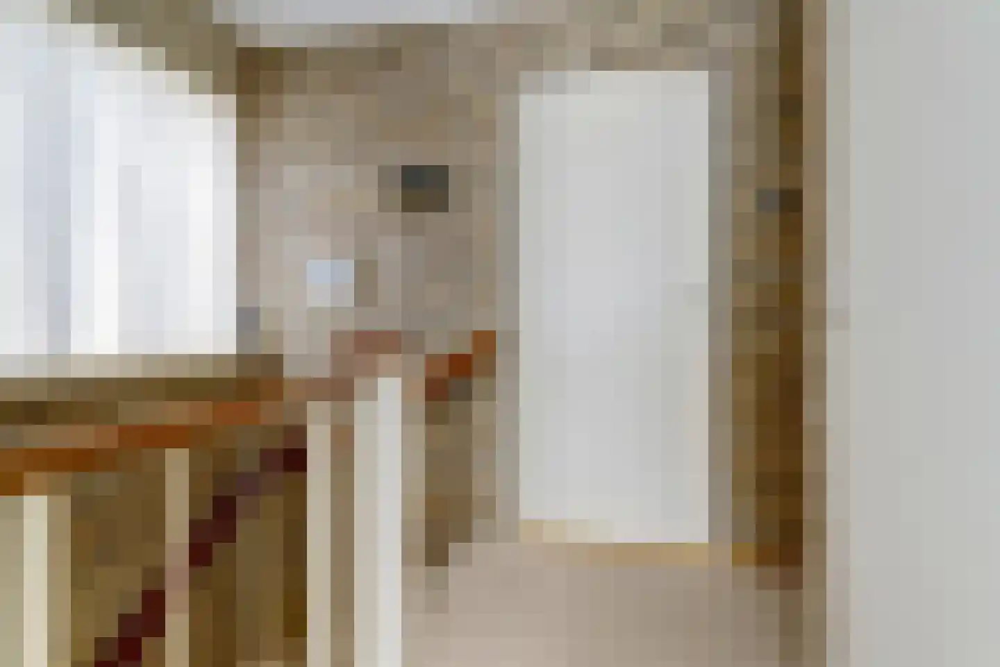 Prins Bernhardstraat 13 Duiven thumbnail 15