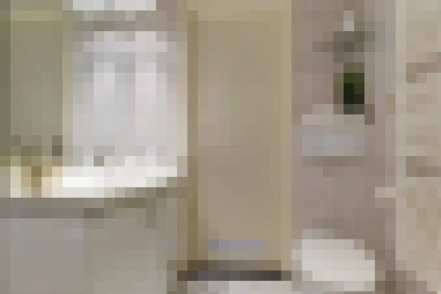 Prins Bernhardstraat 13 Duiven thumbnail 25
