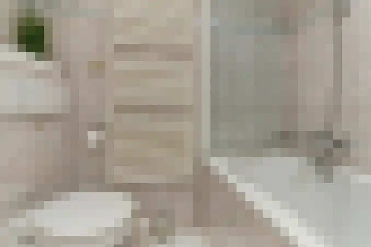 Prins Bernhardstraat 13 Duiven thumbnail 26