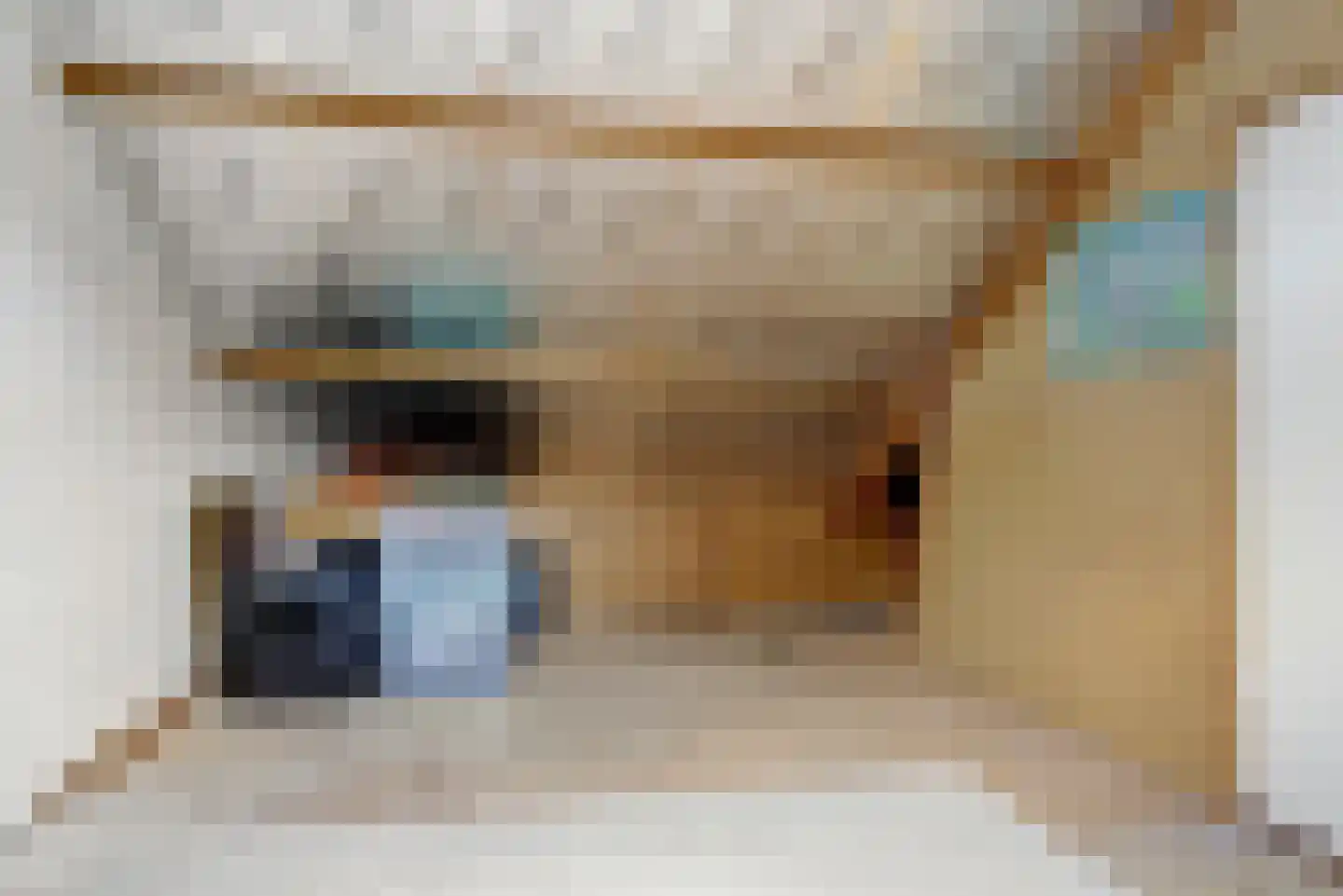 Prins Bernhardstraat 13 Duiven thumbnail 29