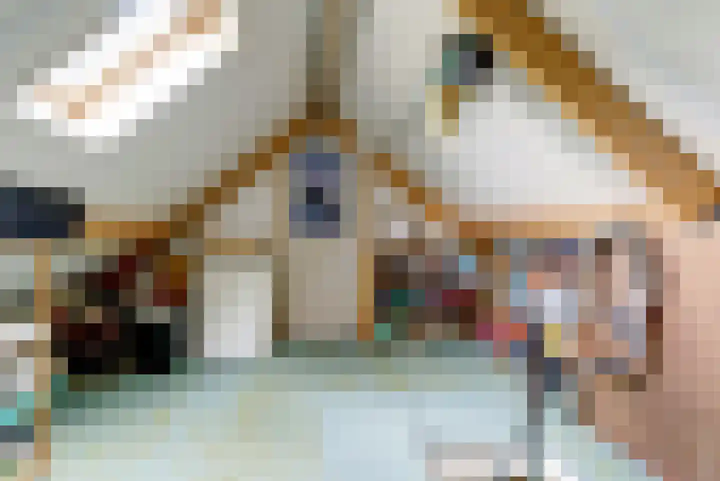 Prins Bernhardstraat 13 Duiven thumbnail 32