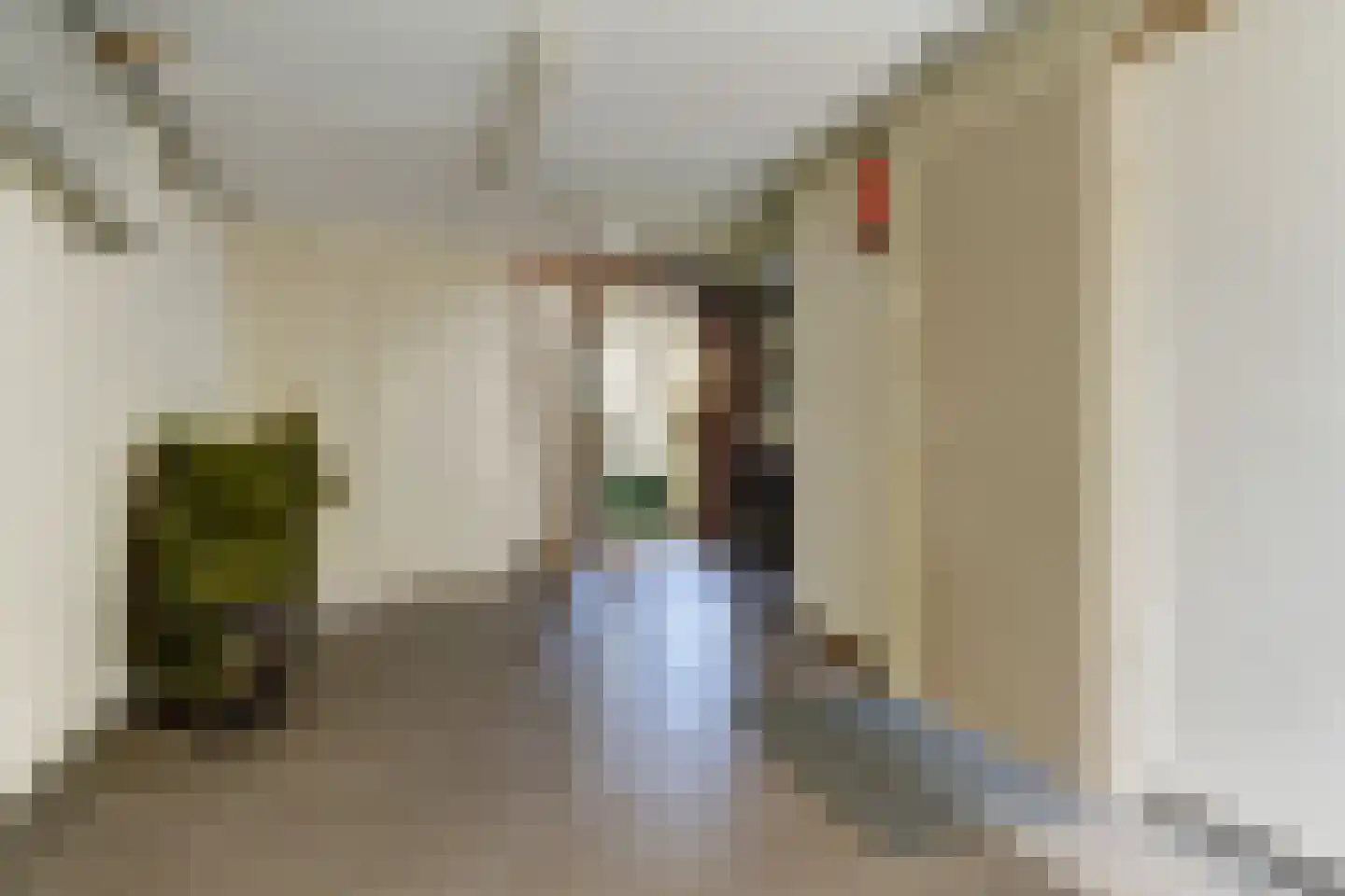 Prins Bernhardstraat 13 Duiven thumbnail 34