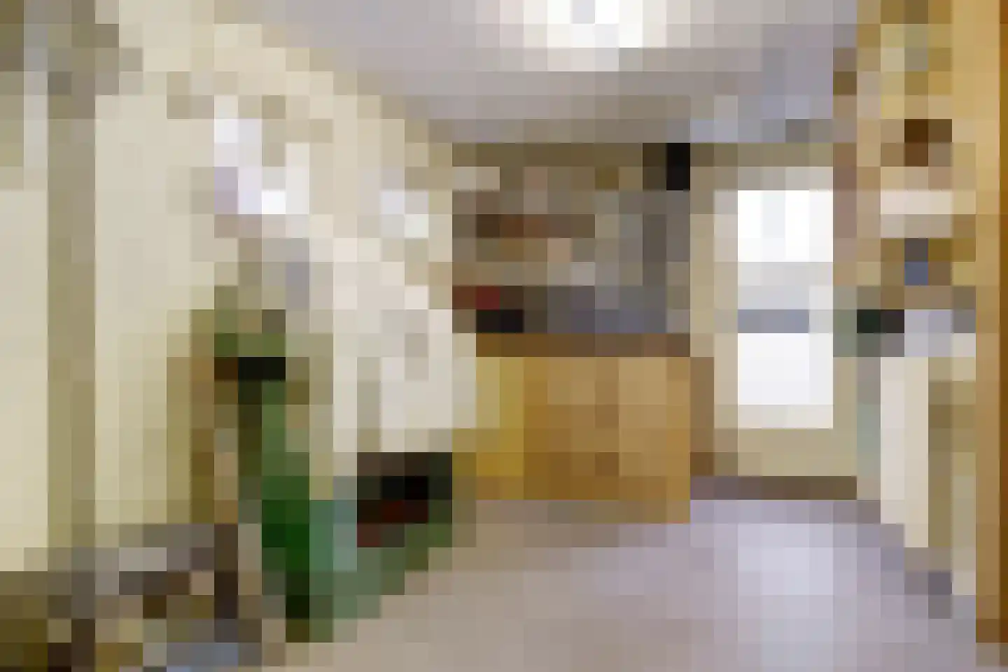 Prins Bernhardstraat 13 Duiven thumbnail 35