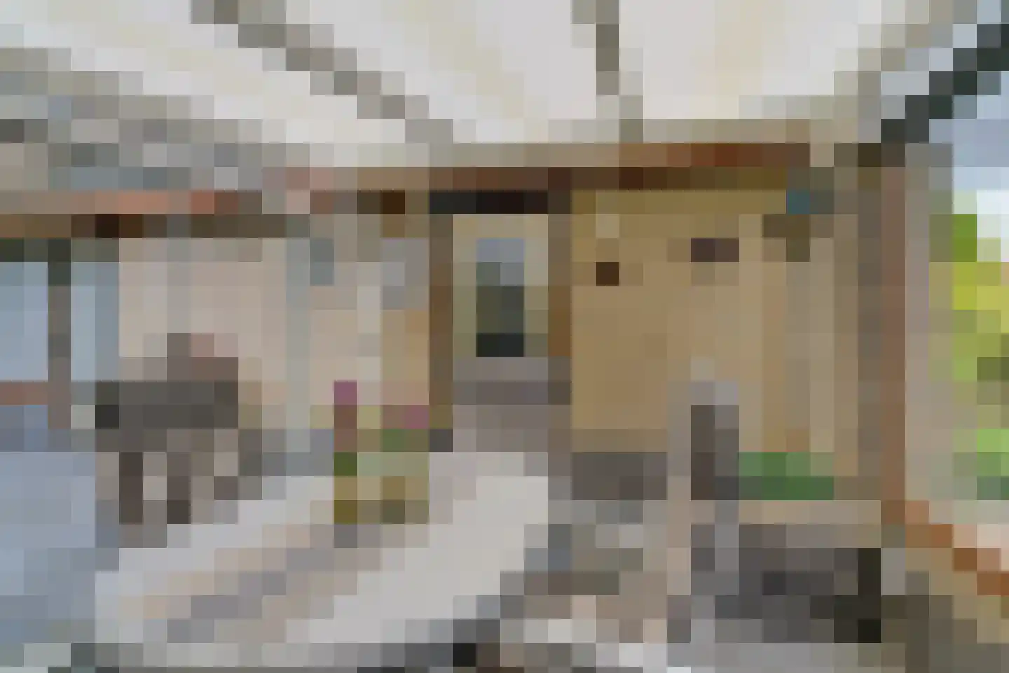 Prins Bernhardstraat 13 Duiven thumbnail 36