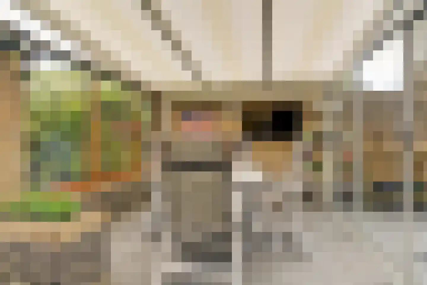 Prins Bernhardstraat 13 Duiven thumbnail 37