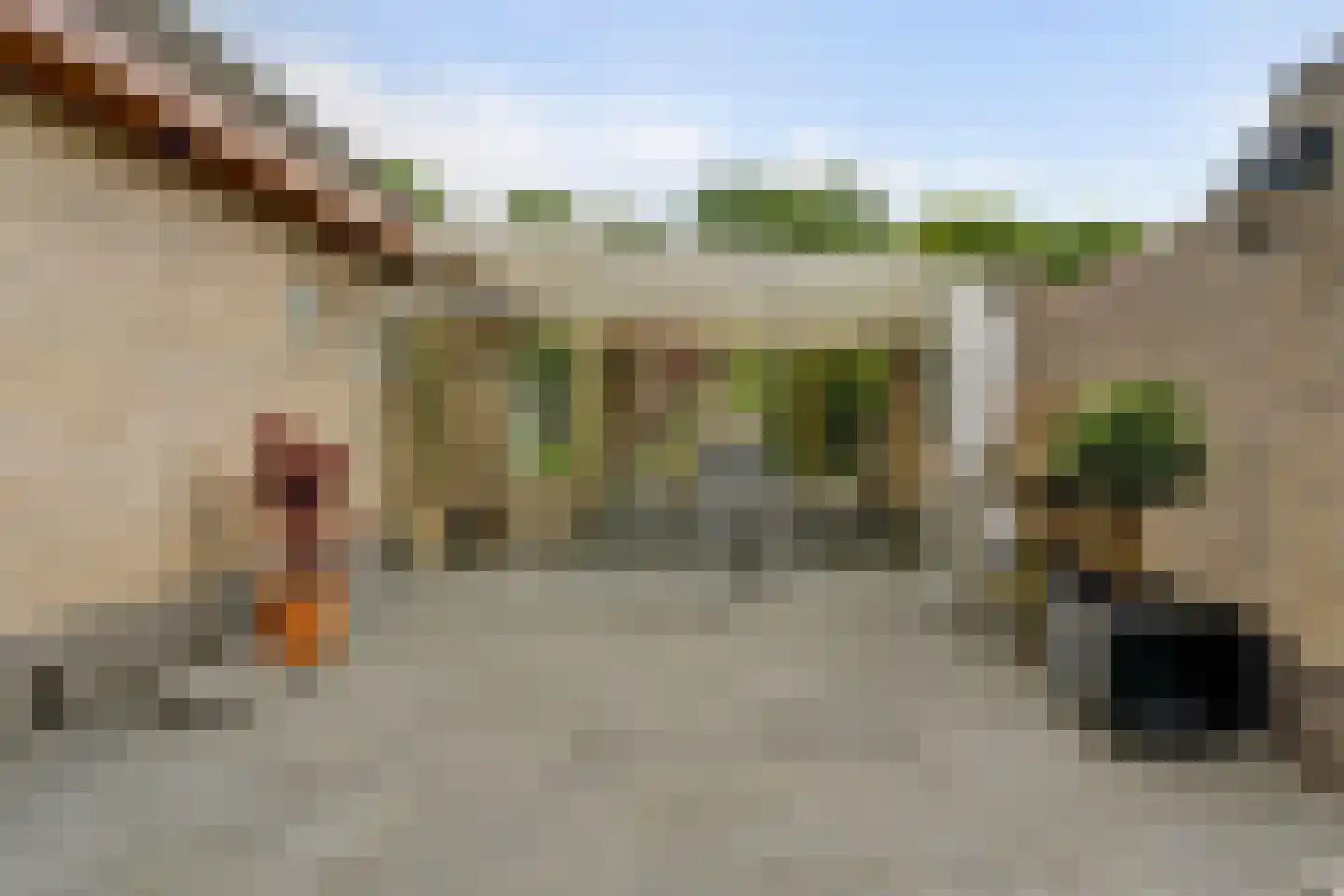 Prins Bernhardstraat 13 Duiven thumbnail 38