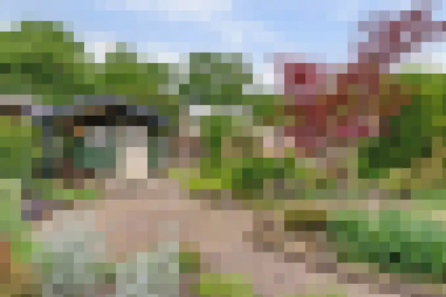 Prins Bernhardstraat 13 Duiven thumbnail 39