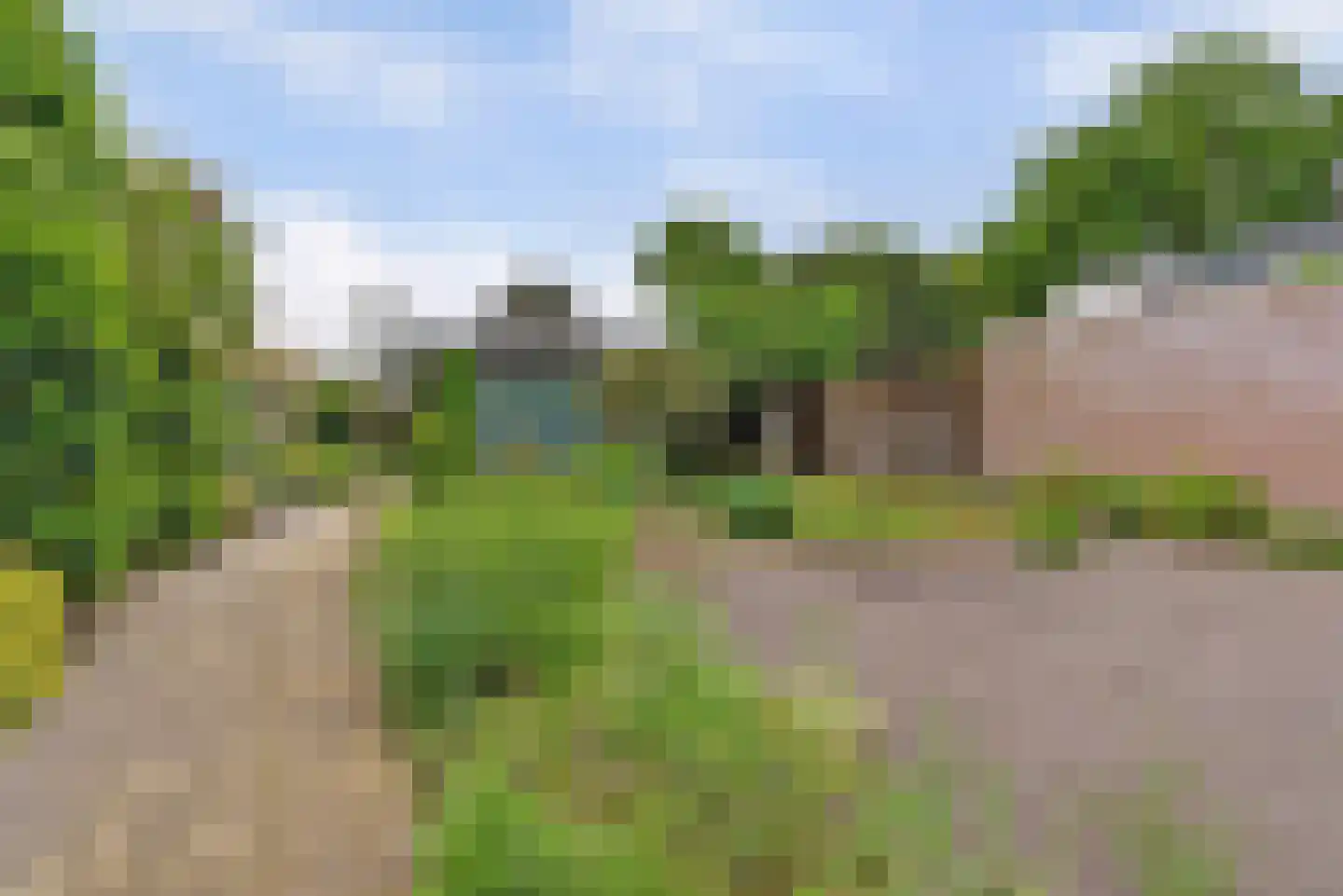 Prins Bernhardstraat 13 Duiven thumbnail 43