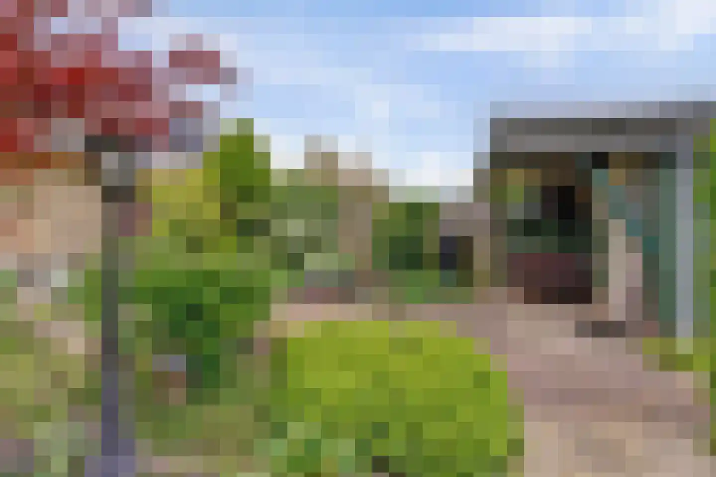 Prins Bernhardstraat 13 Duiven thumbnail 45