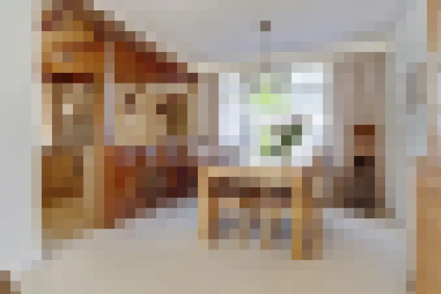 Prins Bernhardstraat 13 Duiven thumbnail 8