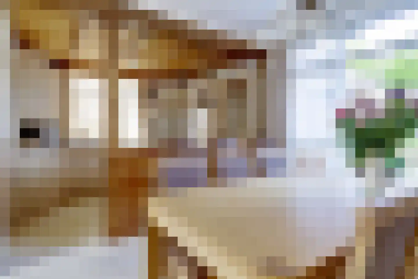 Prins Bernhardstraat 13 Duiven thumbnail 9