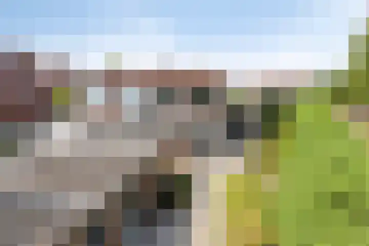 Prins Bernhardstraat 13 Ooltgensplaat thumbnail 22