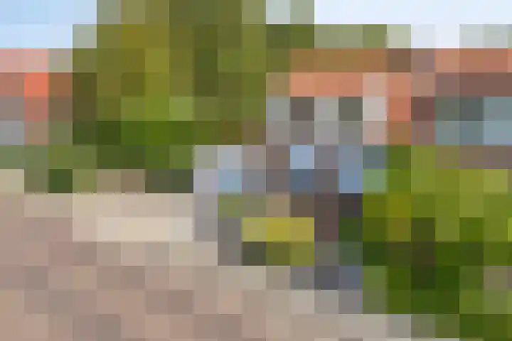 Prins Bernhardstraat 13 Ooltgensplaat thumbnail 23