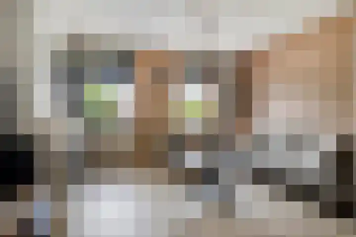 Prins Bernhardstraat 13 Ooltgensplaat thumbnail 4