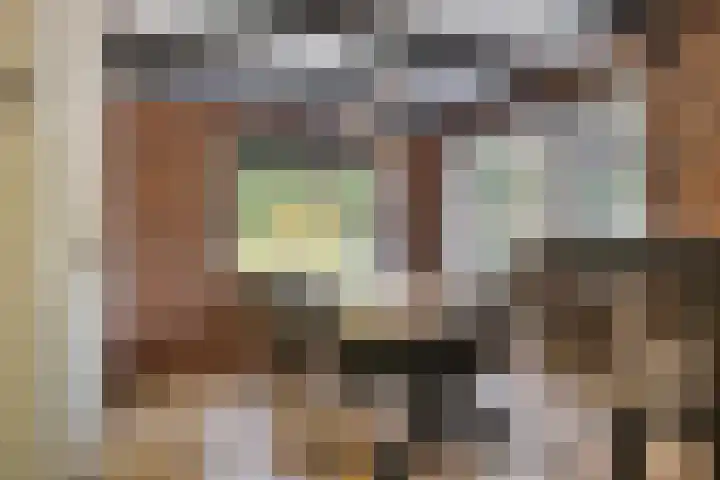 Prins Bernhardstraat 13 Ooltgensplaat thumbnail 7