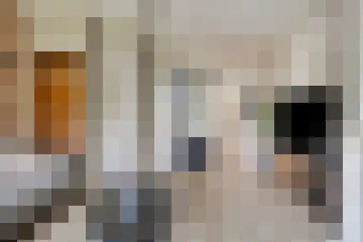 Prins Bernhardstraat 13 Ooltgensplaat thumbnail 9