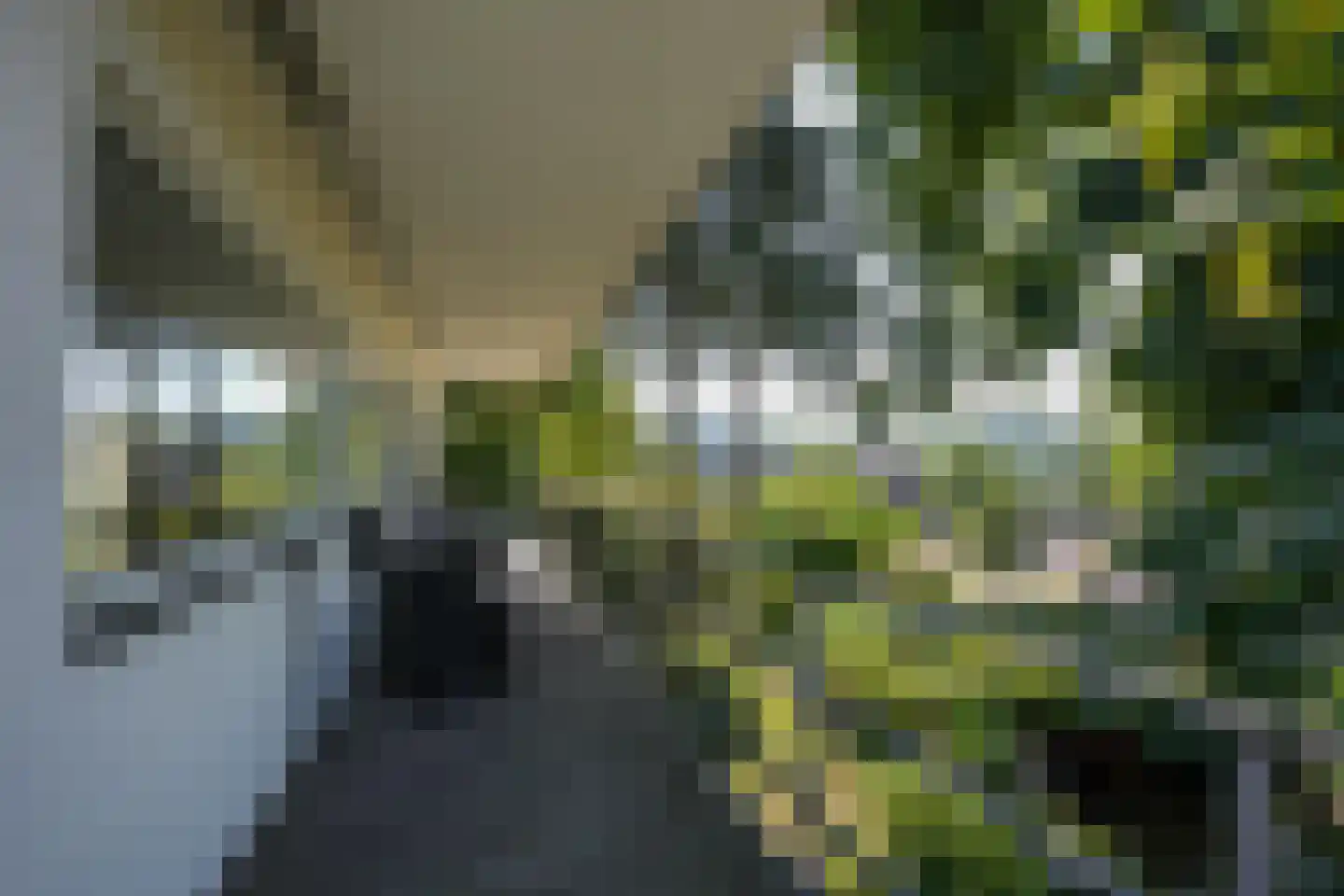 Prins Bernhardstraat 14 Gulpen thumbnail 13