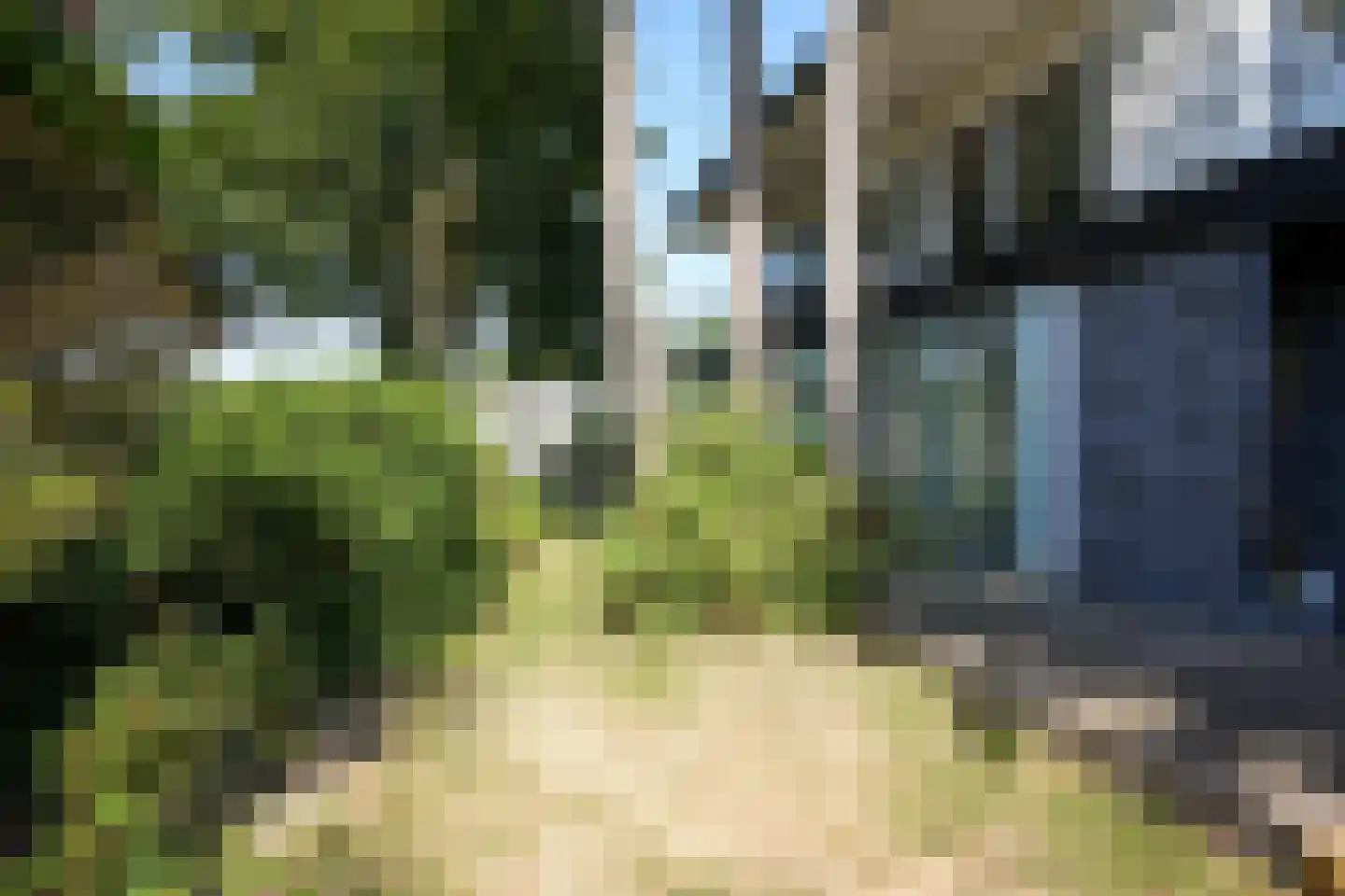 Prins Bernhardstraat 14 Gulpen thumbnail 43