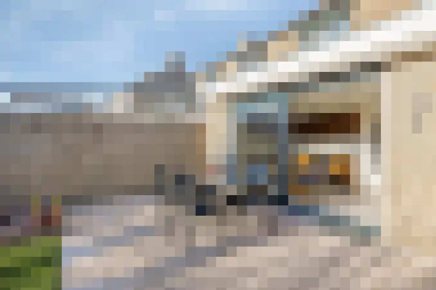 Prins Bernhardstraat 14 Kelpen-Oler thumbnail 31