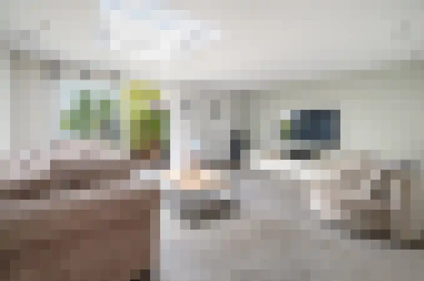 Prins Bernhardstraat 15 Heerjansdam thumbnail 6
