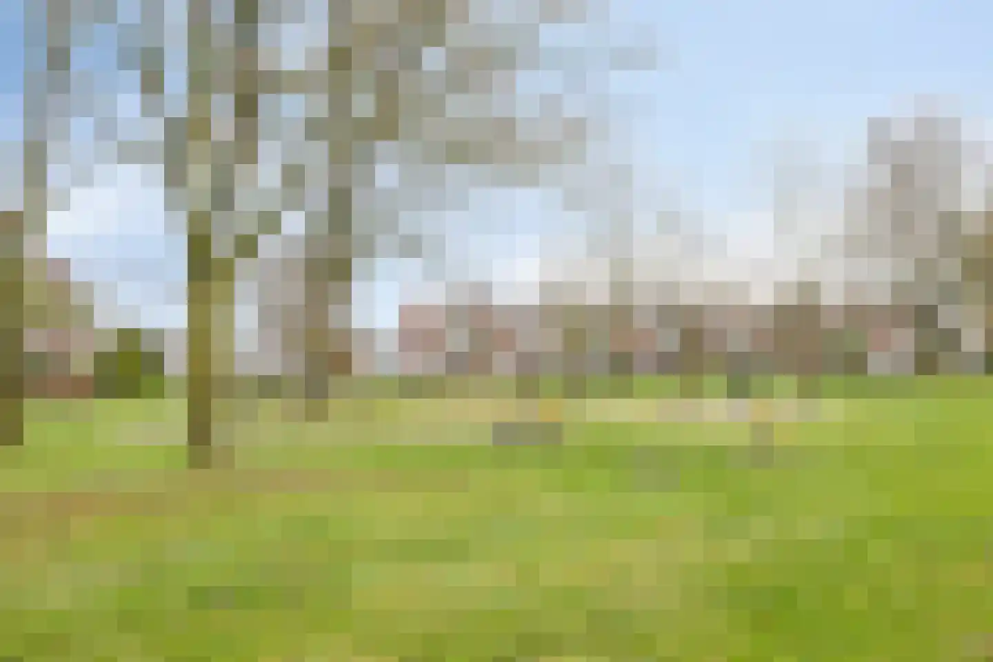 Prins Bernhardstraat 15 Valkenswaard thumbnail 4