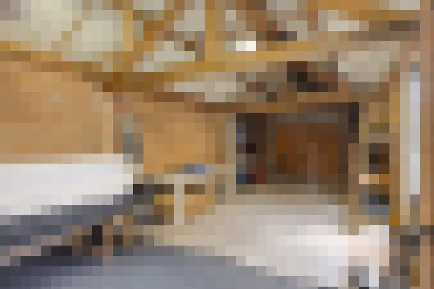Prins Bernhardstraat 16 Drunen thumbnail 30