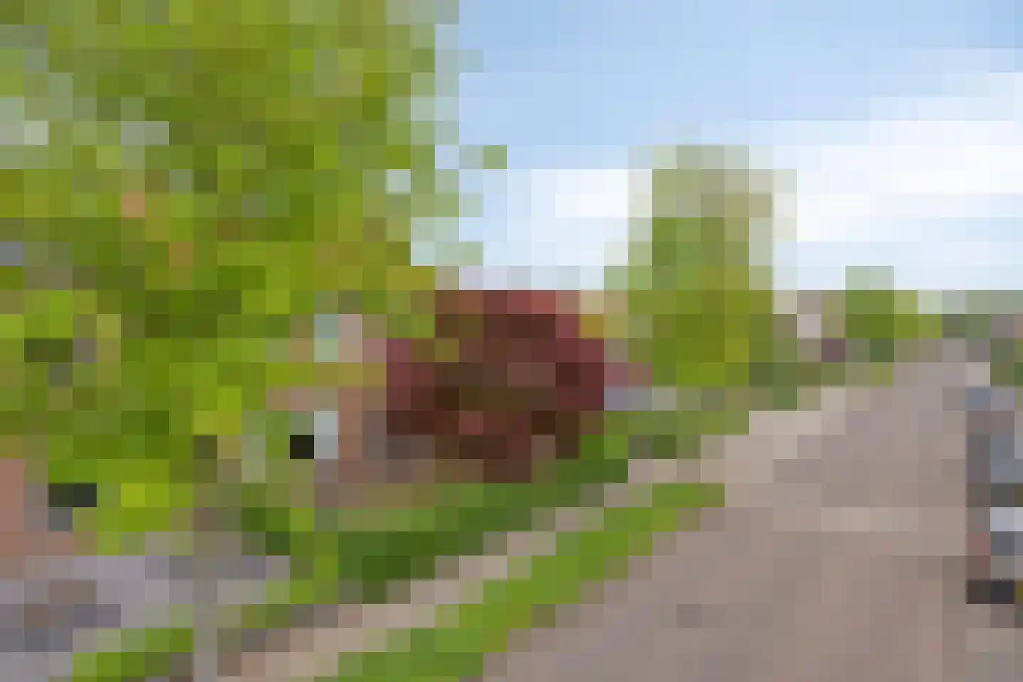 Prins Bernhardstraat 16 Drunen thumbnail 4