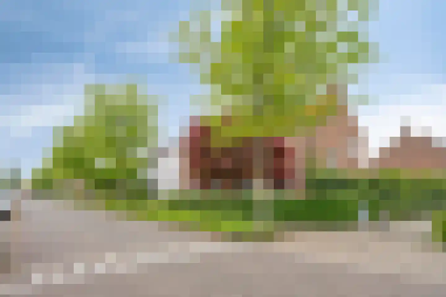 Prins Bernhardstraat 16 Drunen thumbnail 6