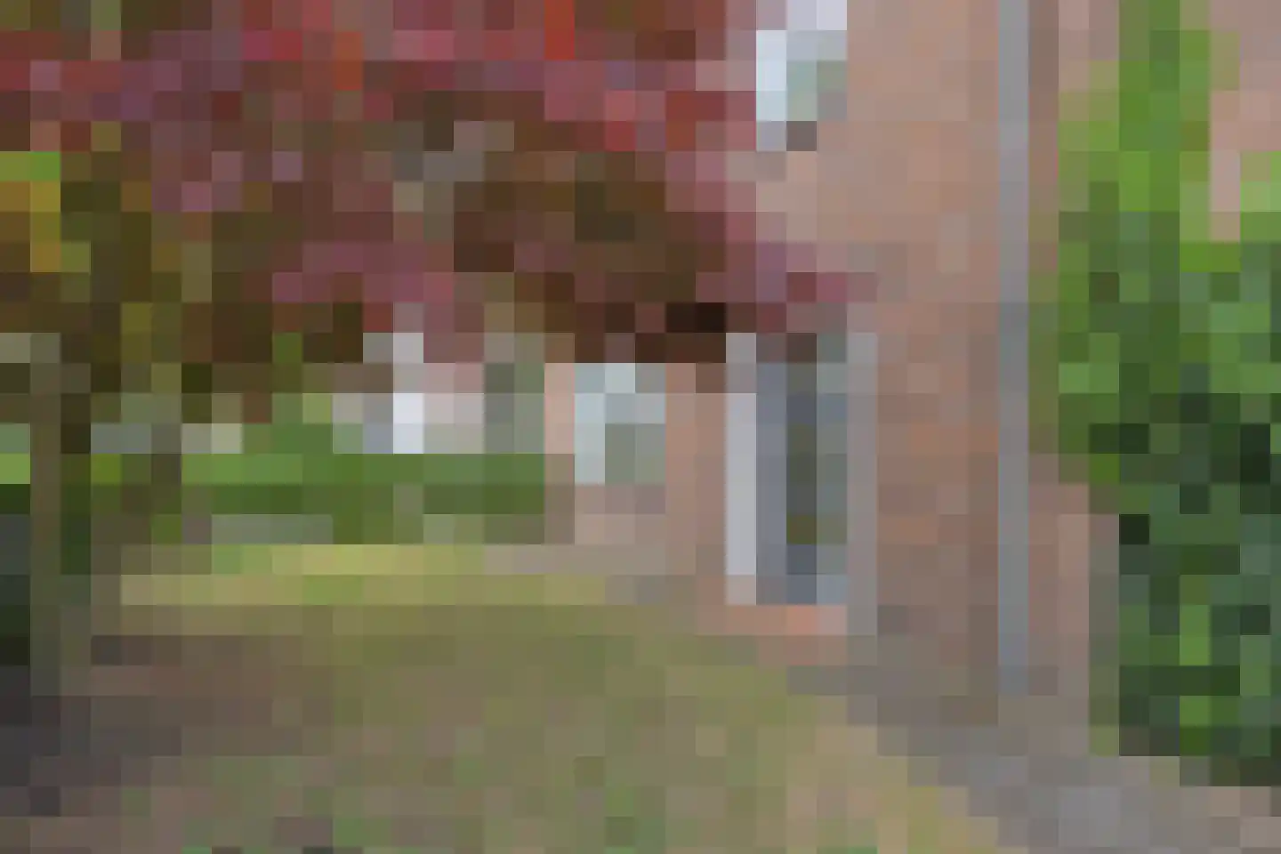 Prins Bernhardstraat 16 Drunen thumbnail 7
